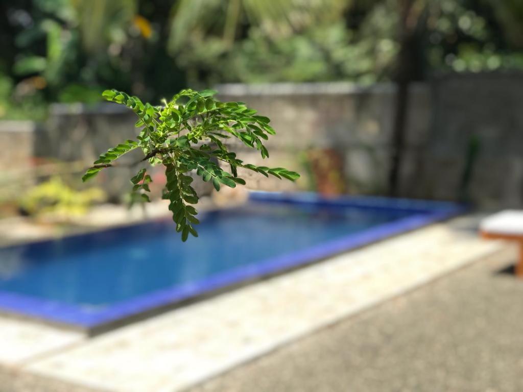 אונה ואטונה Peaceful Green Villa מראה חיצוני תמונה